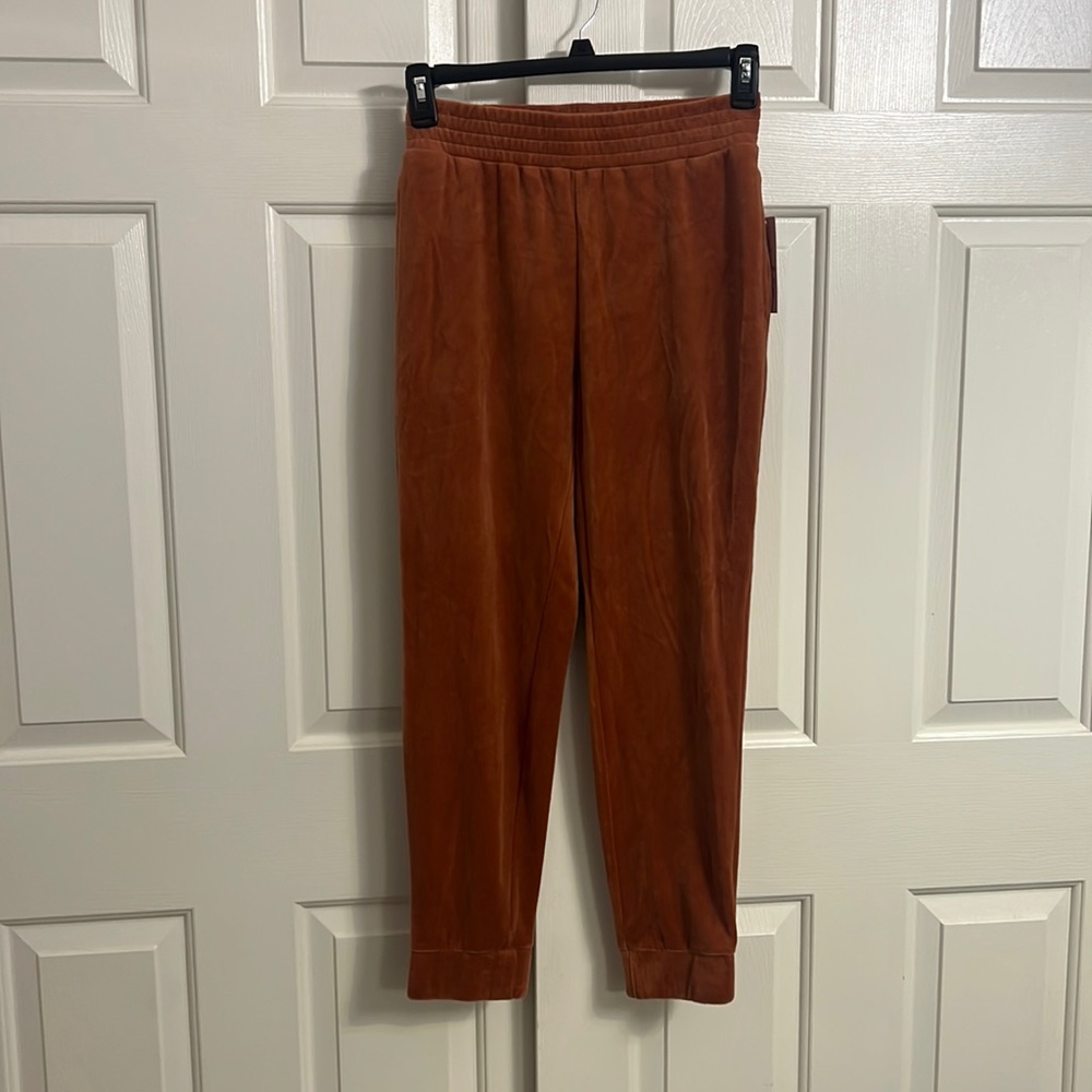 P17- NWT Wild Fable Dark Rust Brown Elastic Waistline Velour Pants Size XS